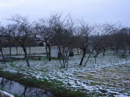 a0247585_743871.jpg