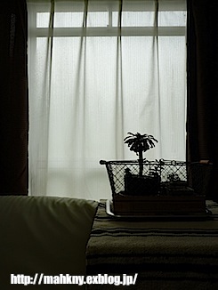 e0198587_1033073.jpg