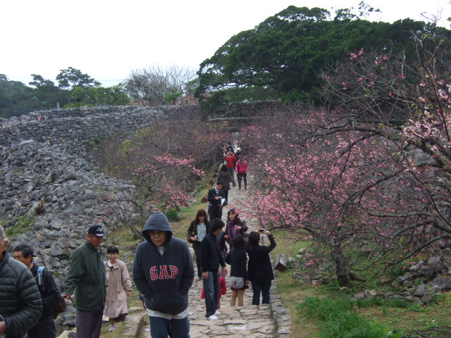 b0203588_14371338.jpg