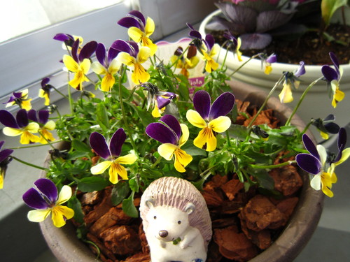 f0204295_20262011.jpg