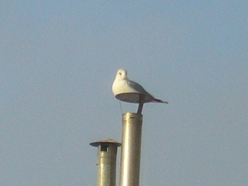 f0169397_2219959.jpg