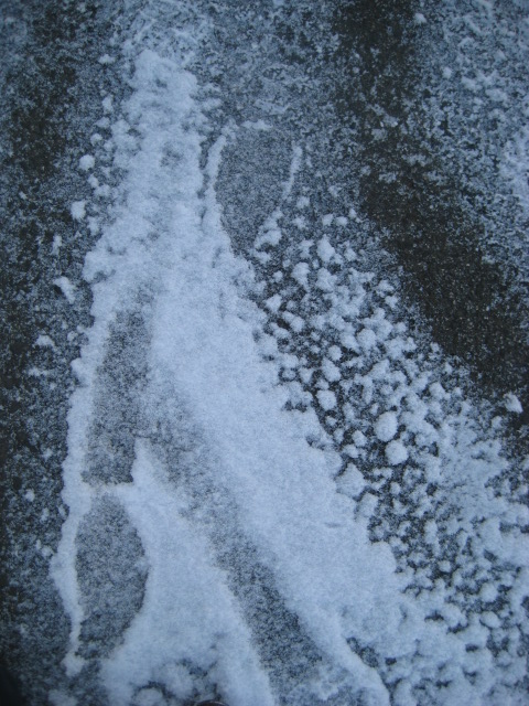 a0193698_13543716.jpg