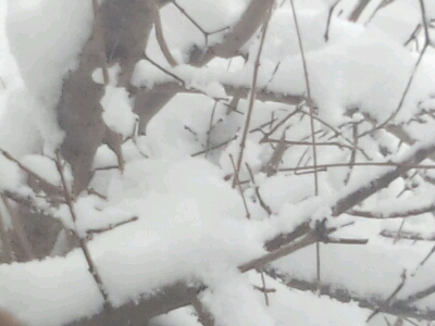 c0208099_23374472.jpg