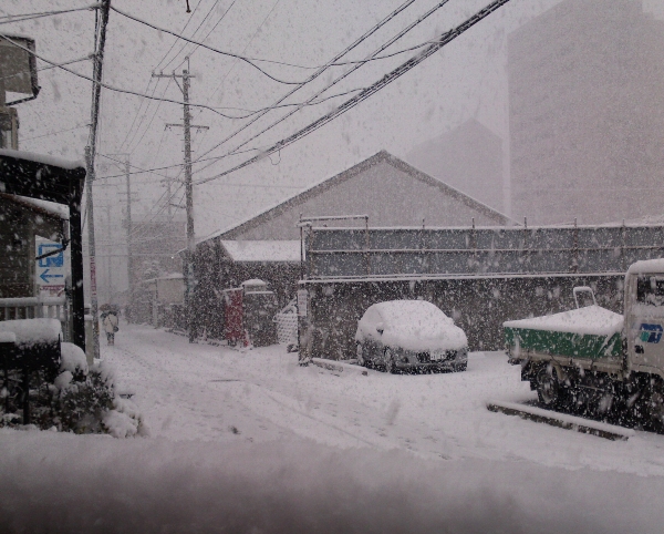 a0031000_111611.jpg