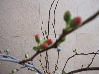 c0152002_18414924.jpg