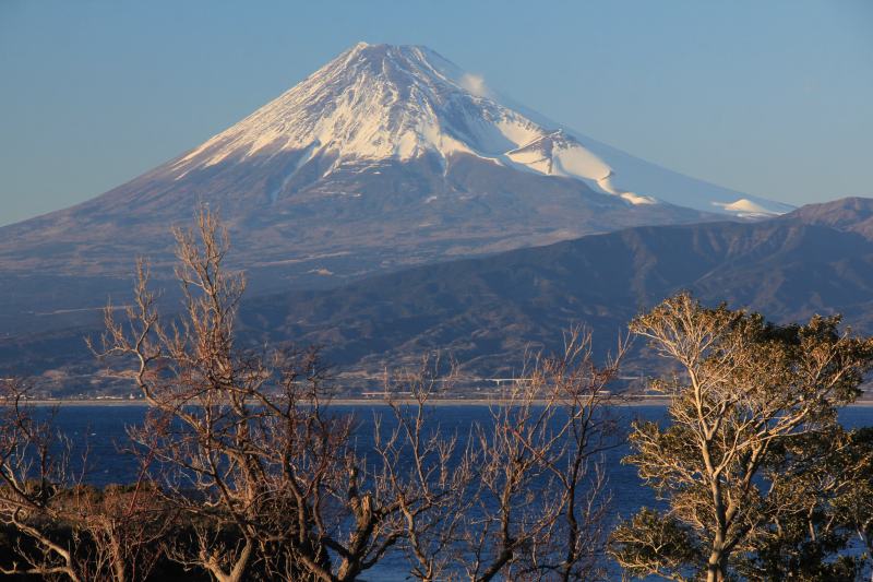 a0188405_2112162.jpg