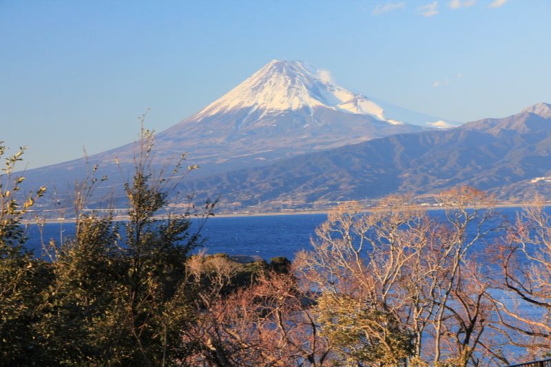 a0188405_21123560.jpg