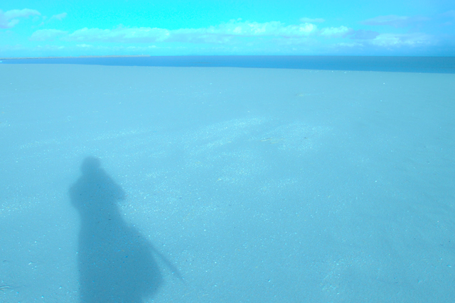 a0257514_14465523.jpg