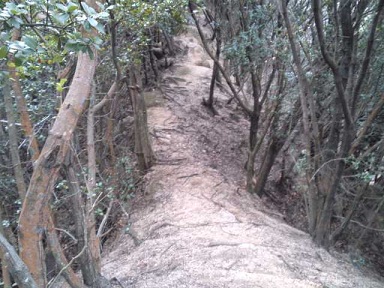 c0146714_11524399.jpg