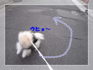 b0167519_925040.gif