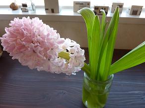e0178225_20103259.jpg
