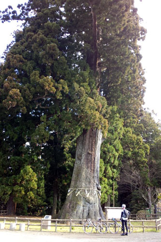 e0089826_2215040.jpg