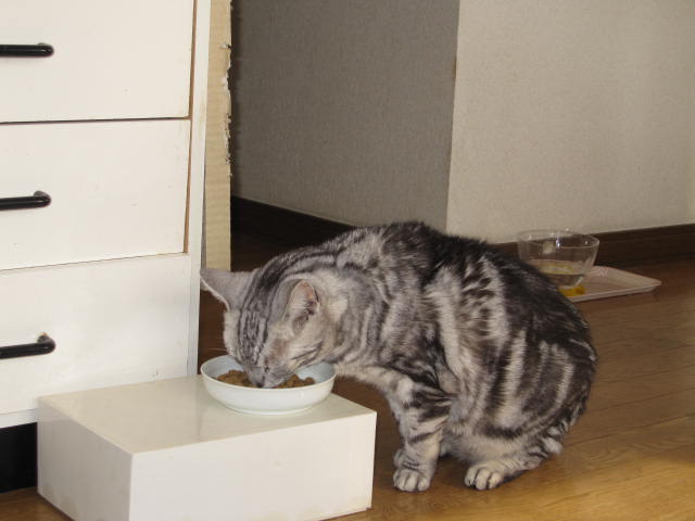 e0191826_05772.jpg