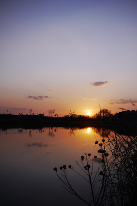 e0200926_8523880.jpg