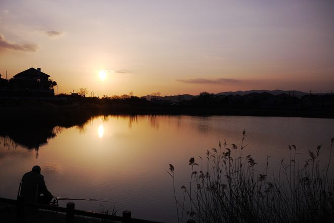 e0200926_911998.jpg