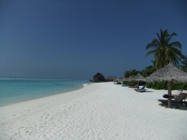 a0122532_032596.jpg