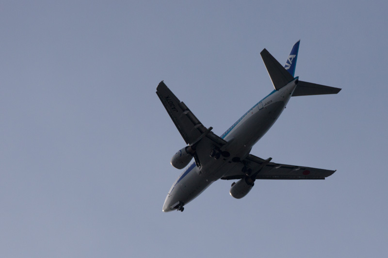 b0177233_575950.jpg