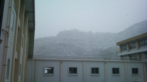 c0038334_2213254.jpg