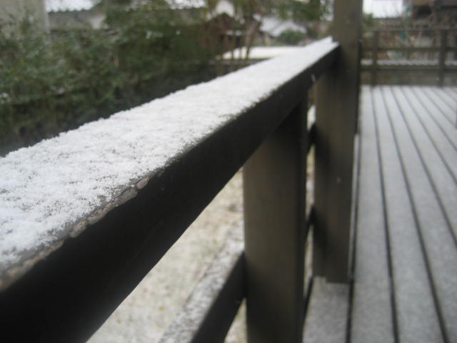 b0166435_1765278.jpg