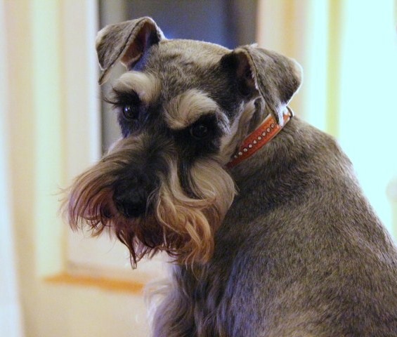 c0153740_17504351.jpg