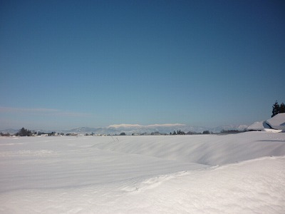 e0131541_2161185.jpg