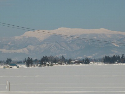 e0131541_2163659.jpg