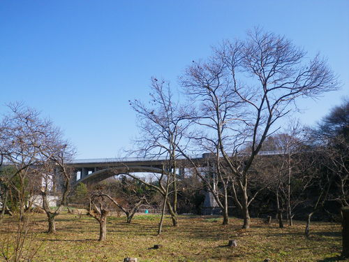 d0252642_20593937.jpg
