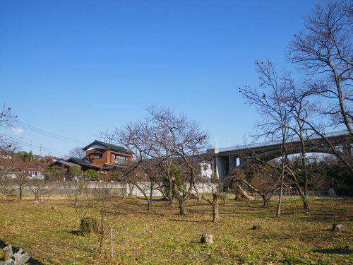d0252642_2121034.jpg