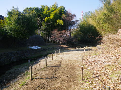 d0252642_2163672.jpg