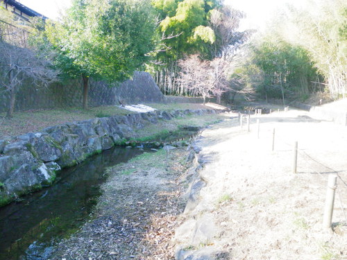 d0252642_2172645.jpg