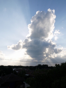 a0199247_14313078.jpg
