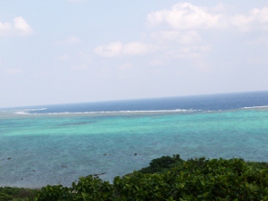 a0199247_14323352.jpg