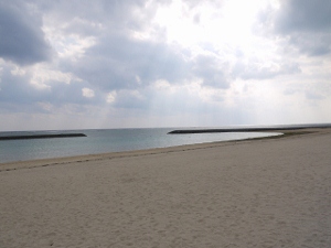 a0199247_14325395.jpg