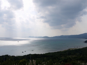a0199247_1432861.jpg