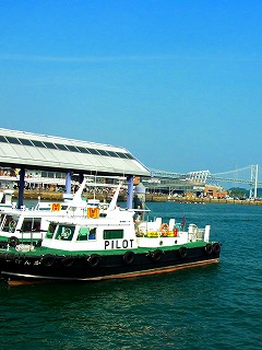 c0171349_8443669.jpg