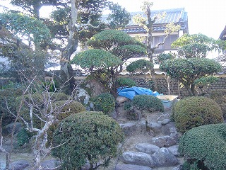 e0193051_2349519.jpg