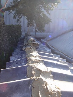 e0193051_2351958.jpg