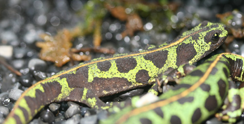 f0224952_18242477.jpg
