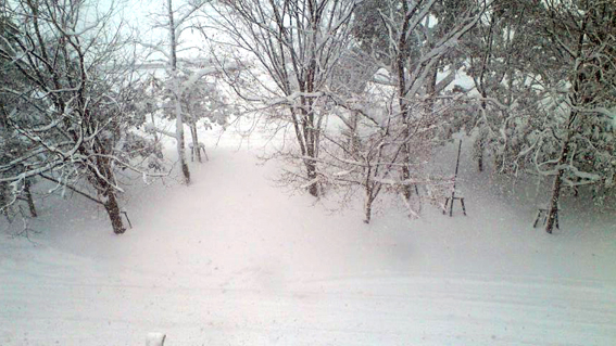 f0178153_13331738.jpg