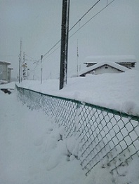 b0186959_14143760.jpg