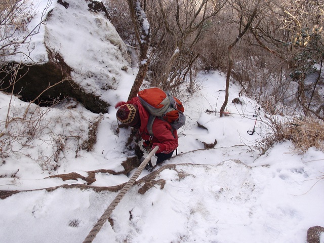 c0042869_21295531.jpg
