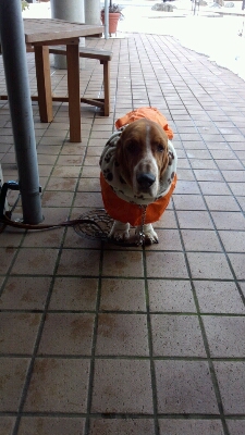 f0204072_2012194.jpg