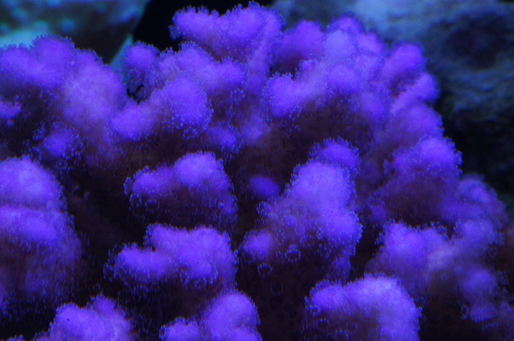 a0161975_1324489.jpg