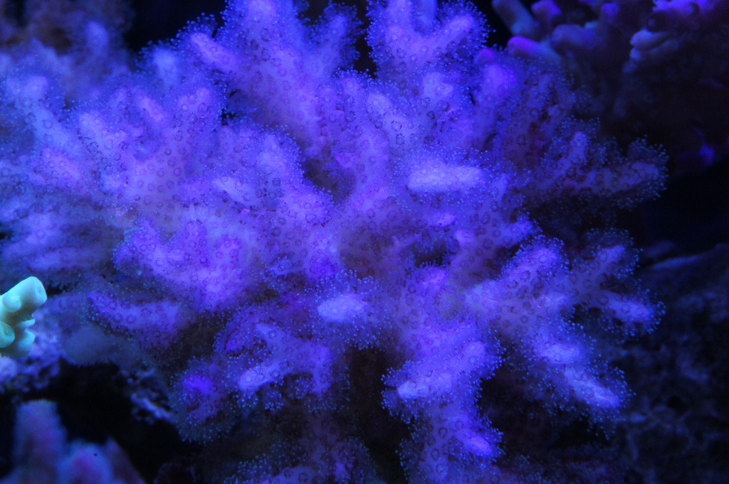 a0161975_13245329.jpg