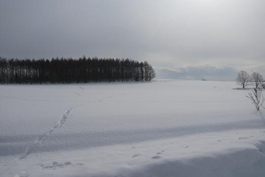 c0175679_11232571.jpg