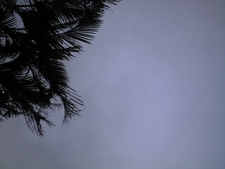 d0240983_2232288.jpg