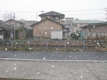 e0130185_1151240.jpg
