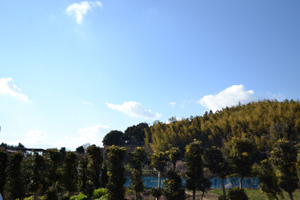 b0061588_1491638.jpg