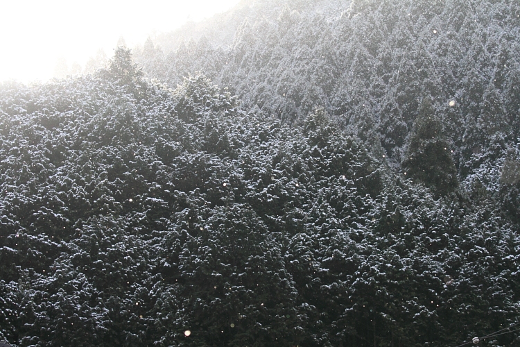 e0051888_22534052.jpg