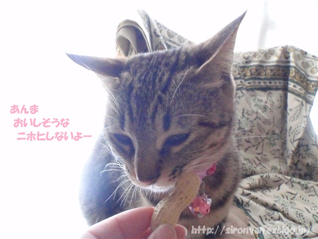 a0159490_12562219.jpg